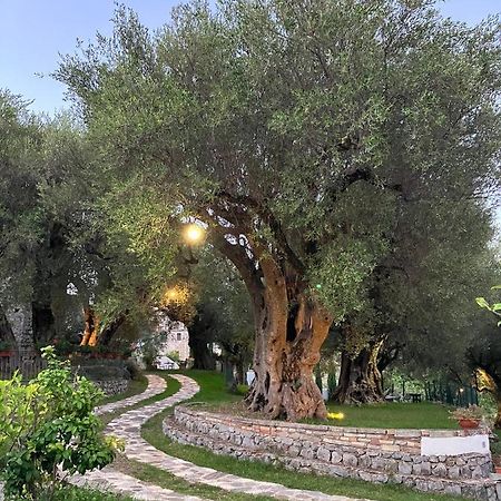 Affittacamere Pie' d'Ulivo Bosco  Esterno foto