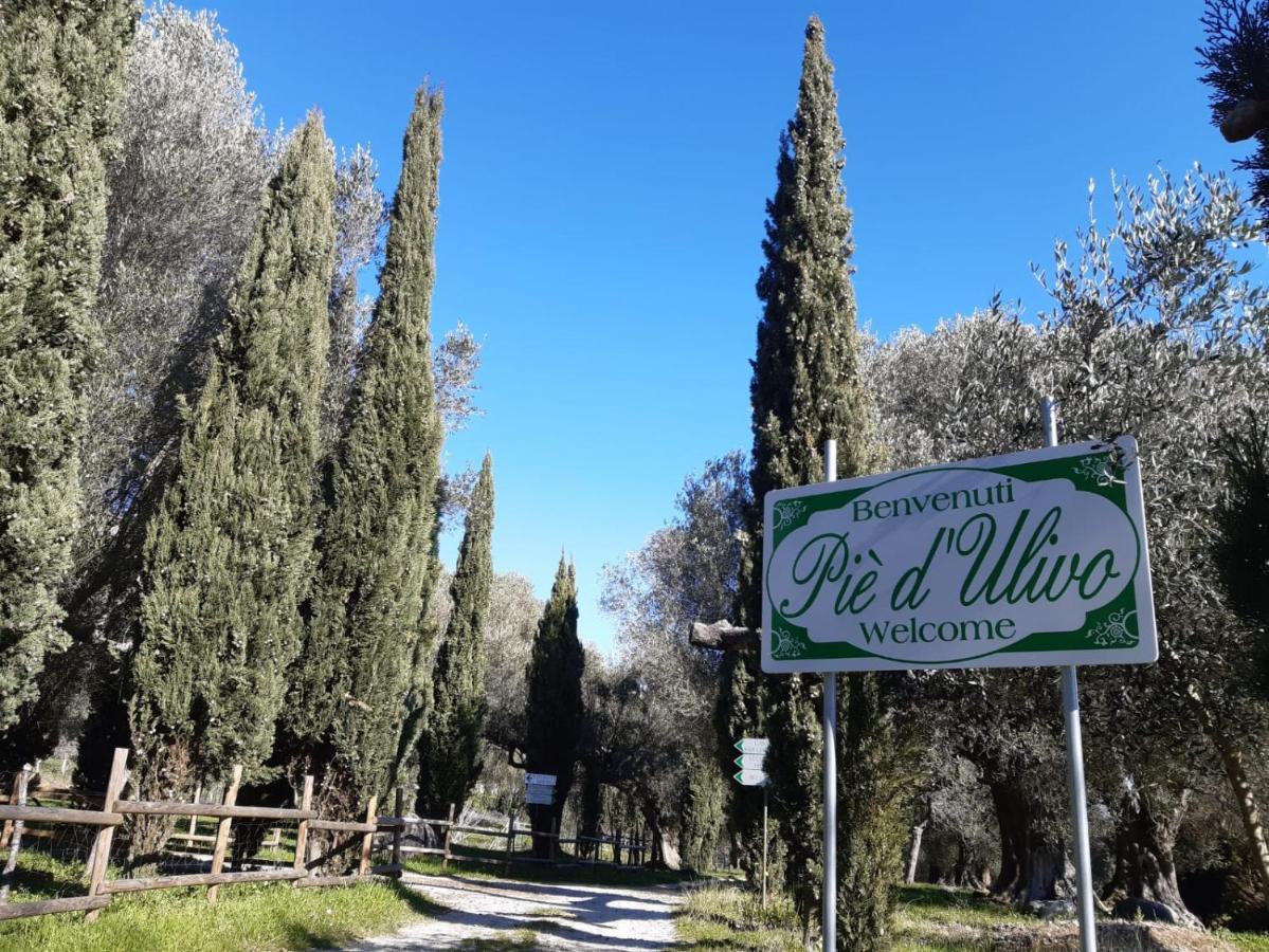 Affittacamere Pie' d'Ulivo Bosco  Esterno foto