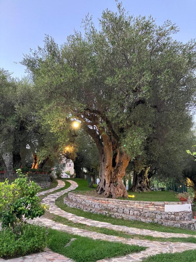 Affittacamere Pie' d'Ulivo Bosco  Esterno foto