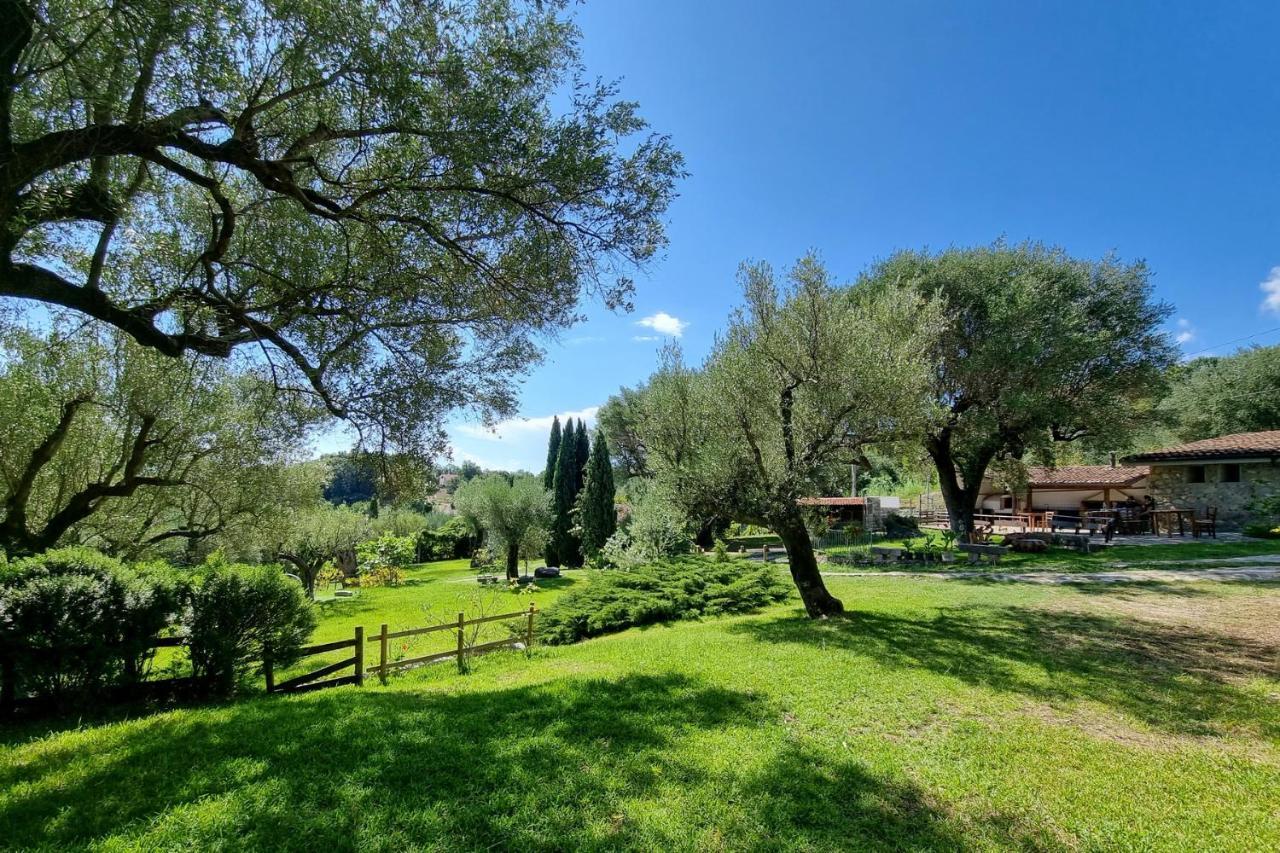Affittacamere Pie' d'Ulivo Bosco  Esterno foto