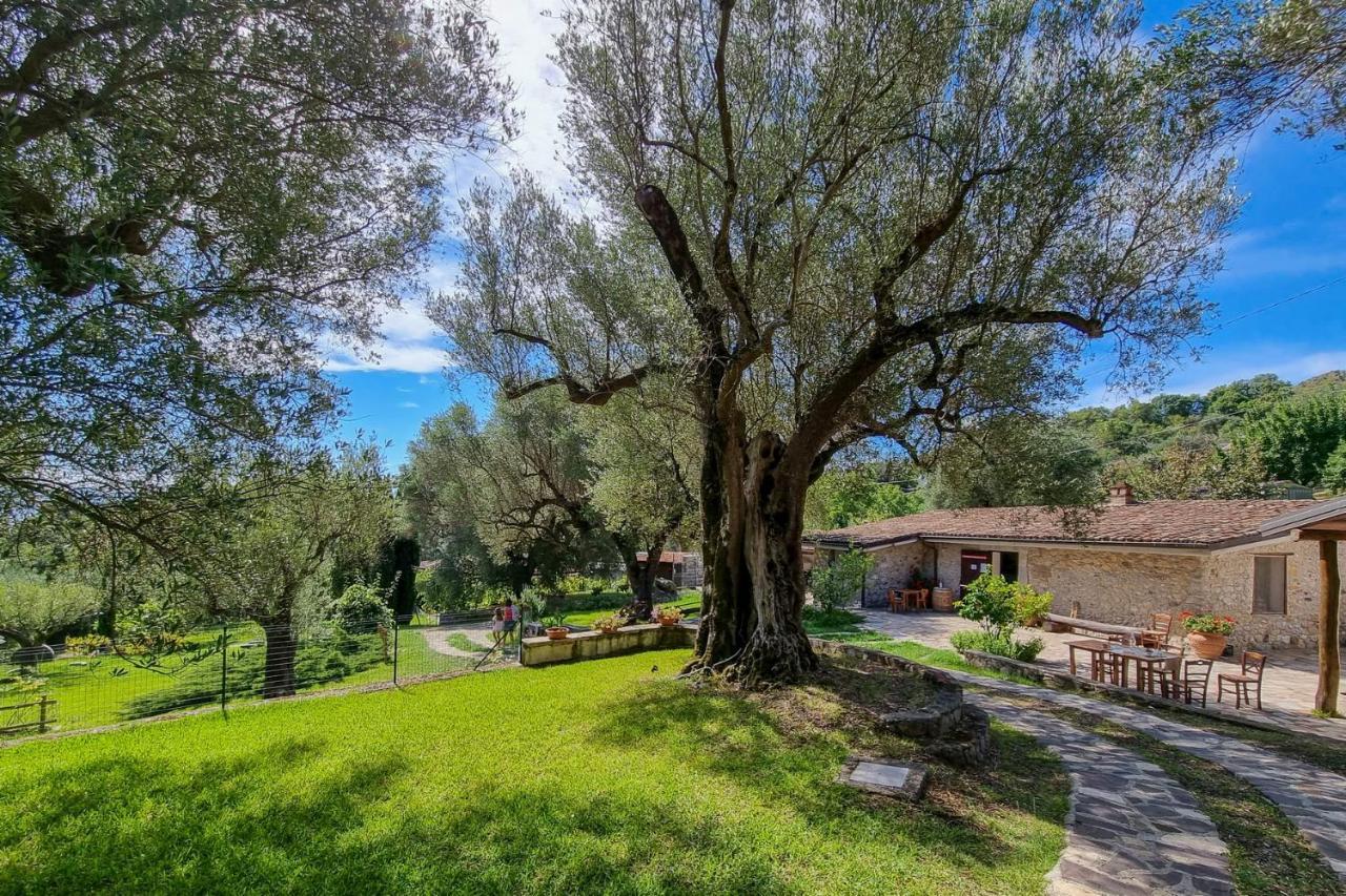 Affittacamere Pie' d'Ulivo Bosco  Esterno foto