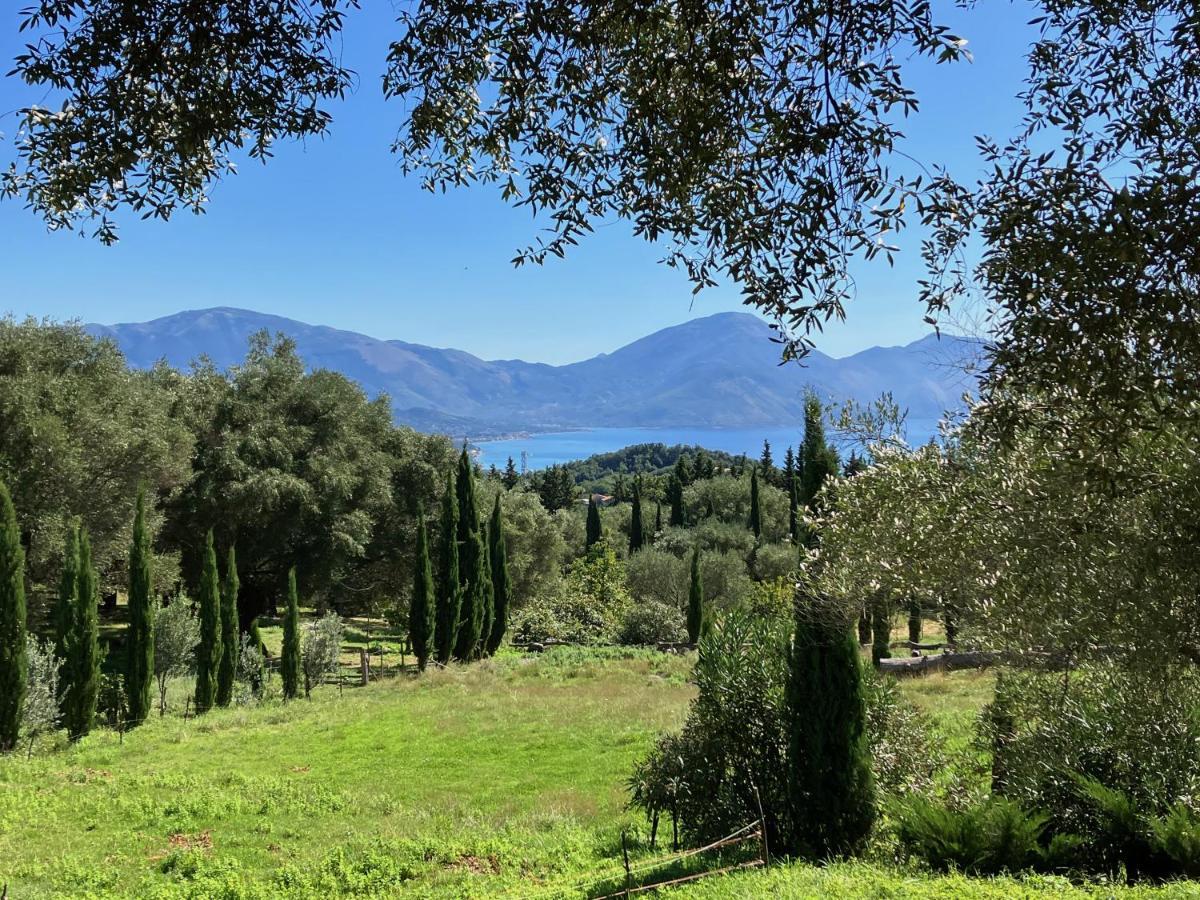 Affittacamere Pie' d'Ulivo Bosco  Esterno foto