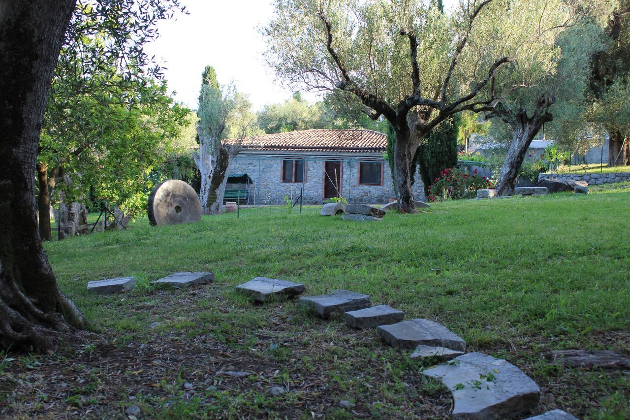 Affittacamere Pie' d'Ulivo Bosco  Esterno foto