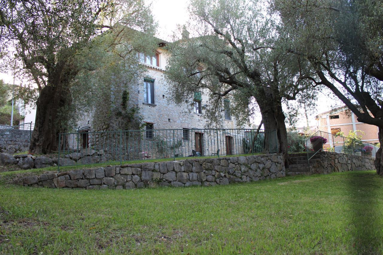 Affittacamere Pie' d'Ulivo Bosco  Esterno foto