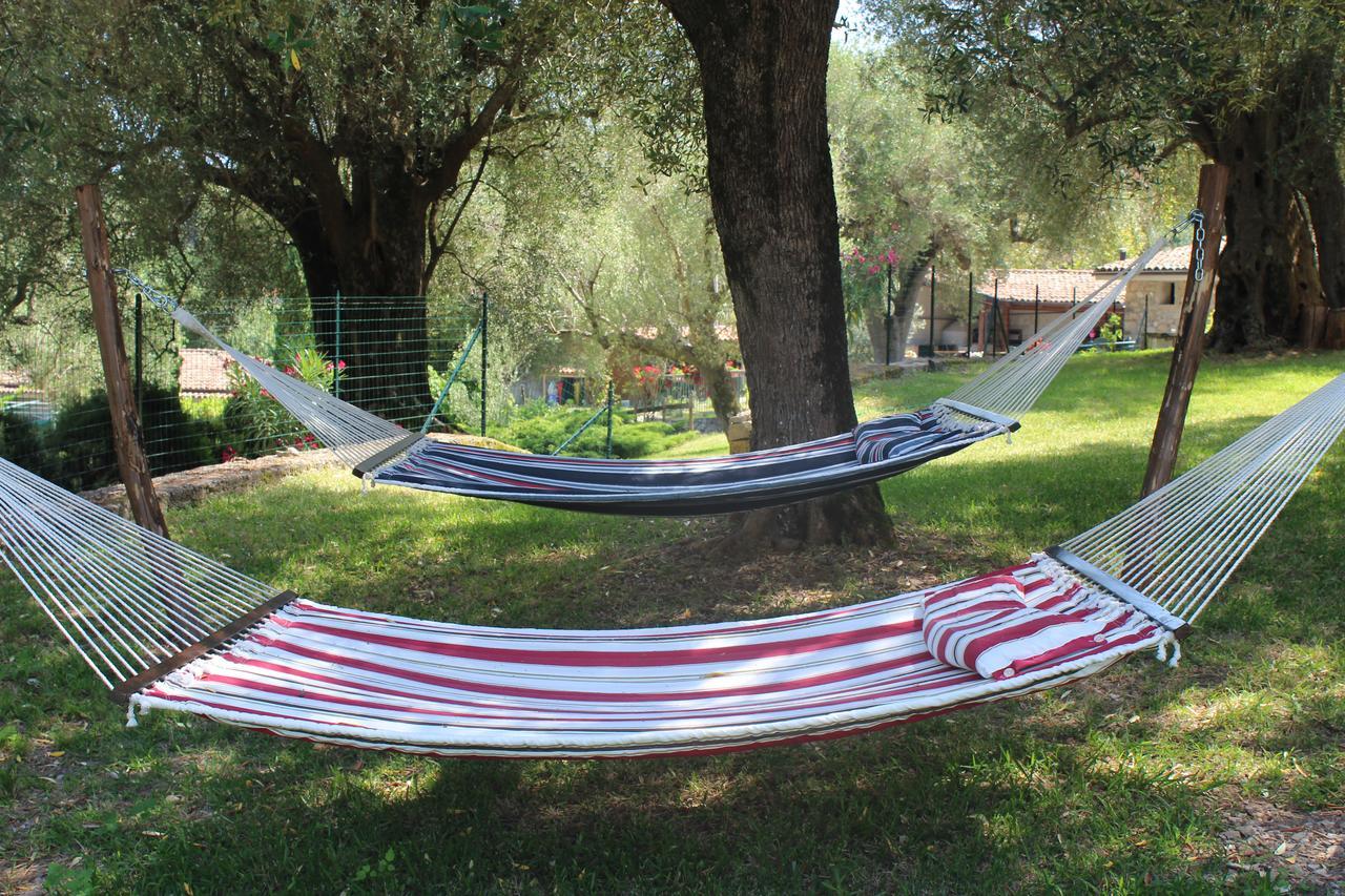 Affittacamere Pie' d'Ulivo Bosco  Esterno foto