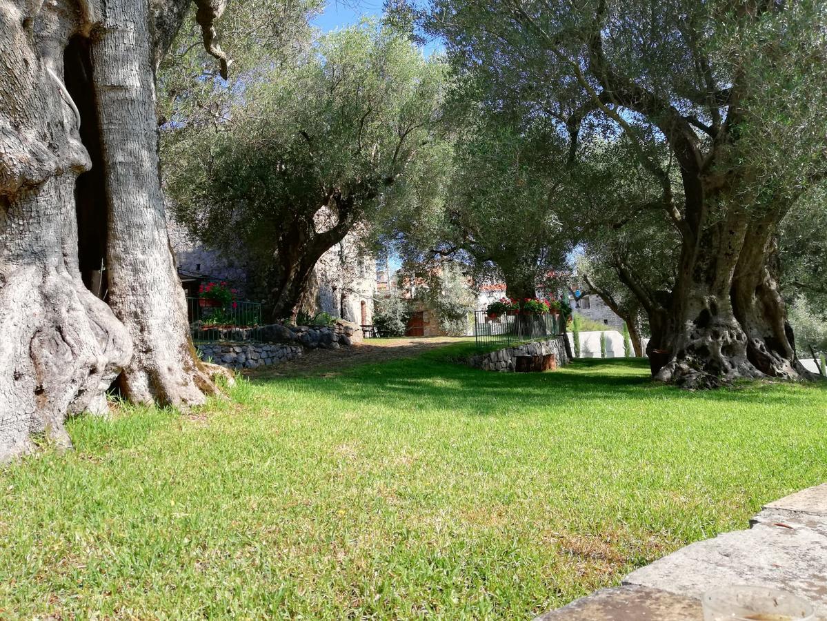 Affittacamere Pie' d'Ulivo Bosco  Esterno foto