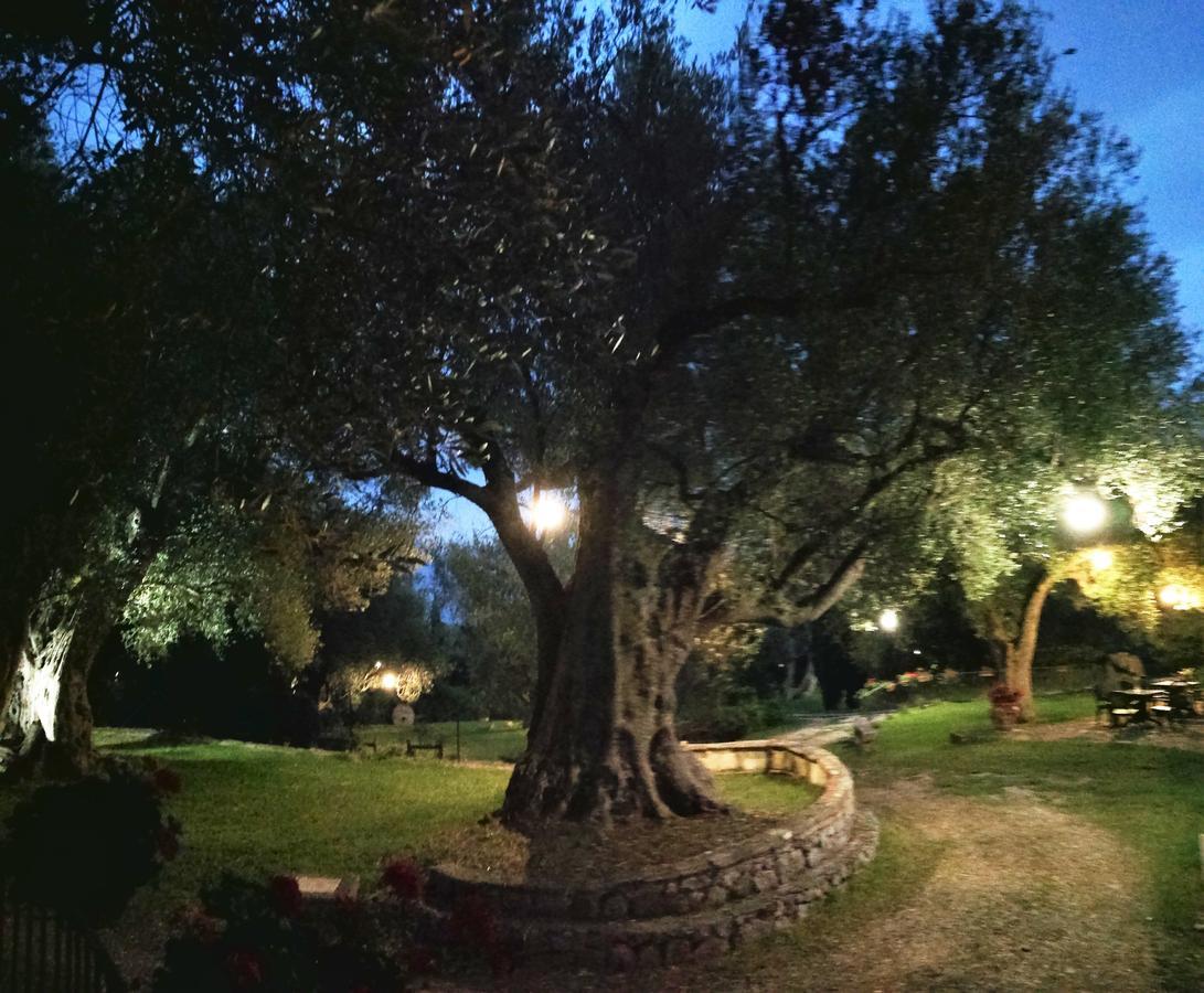 Affittacamere Pie' d'Ulivo Bosco  Esterno foto