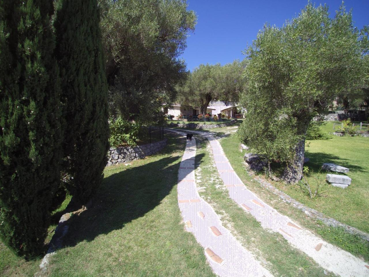 Affittacamere Pie' d'Ulivo Bosco  Esterno foto