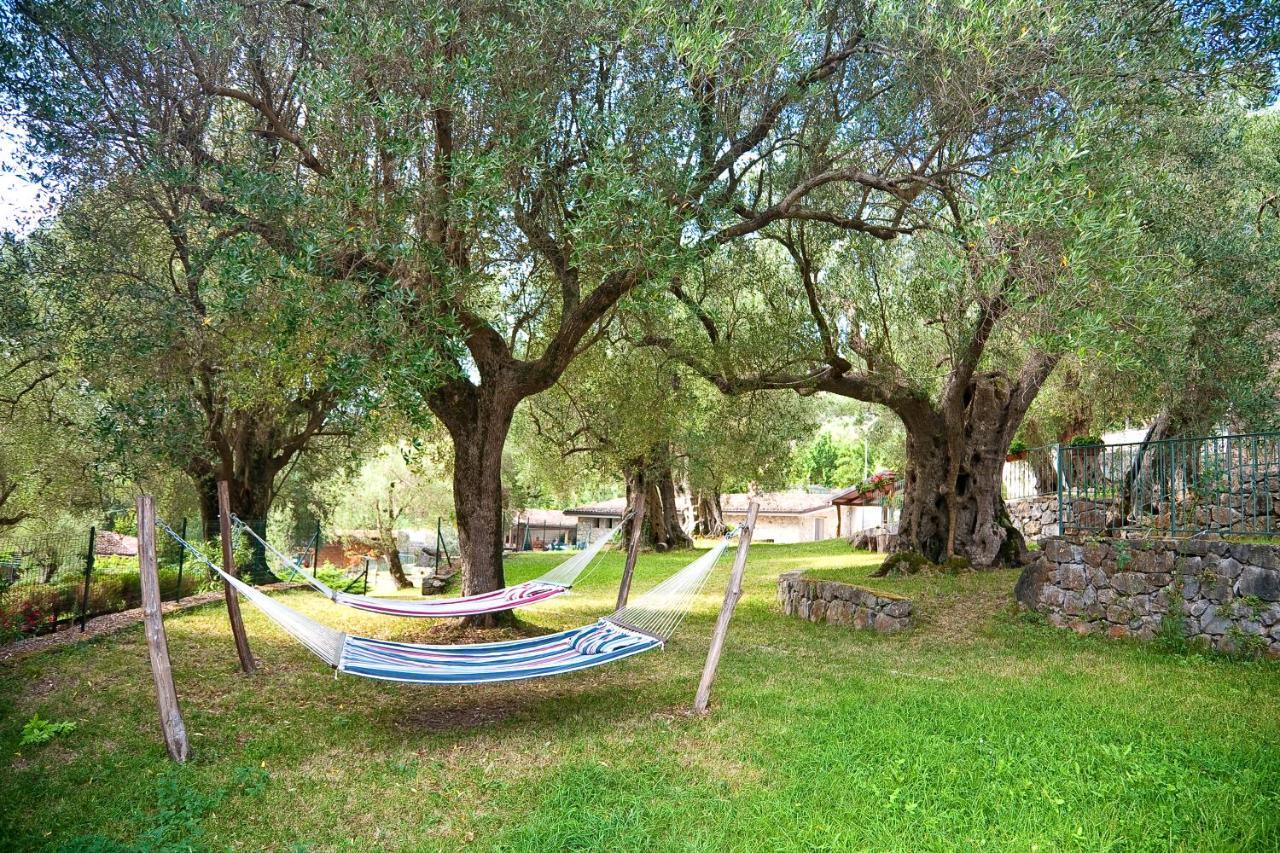 Affittacamere Pie' d'Ulivo Bosco  Esterno foto