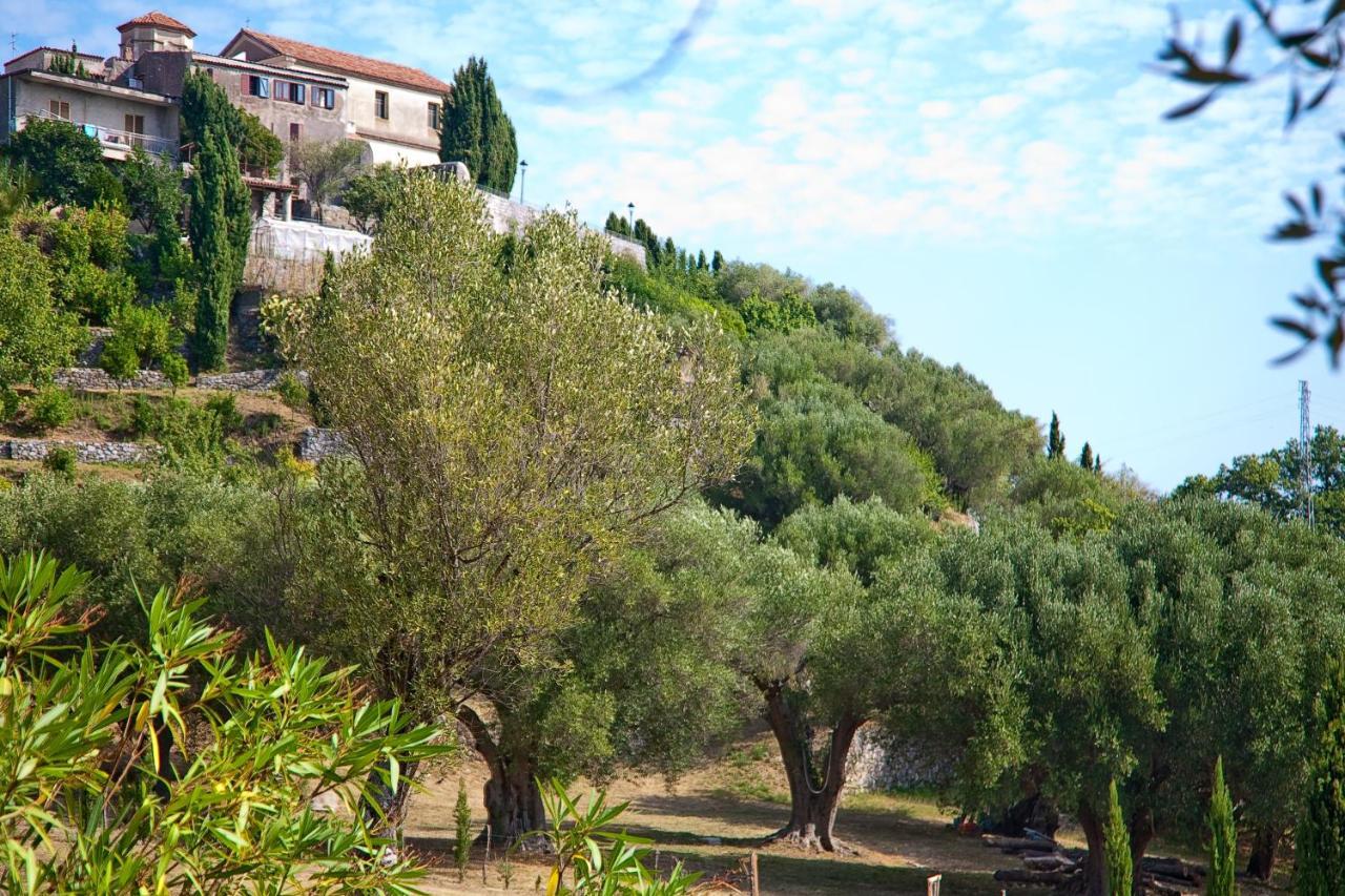 Affittacamere Pie' d'Ulivo Bosco  Esterno foto