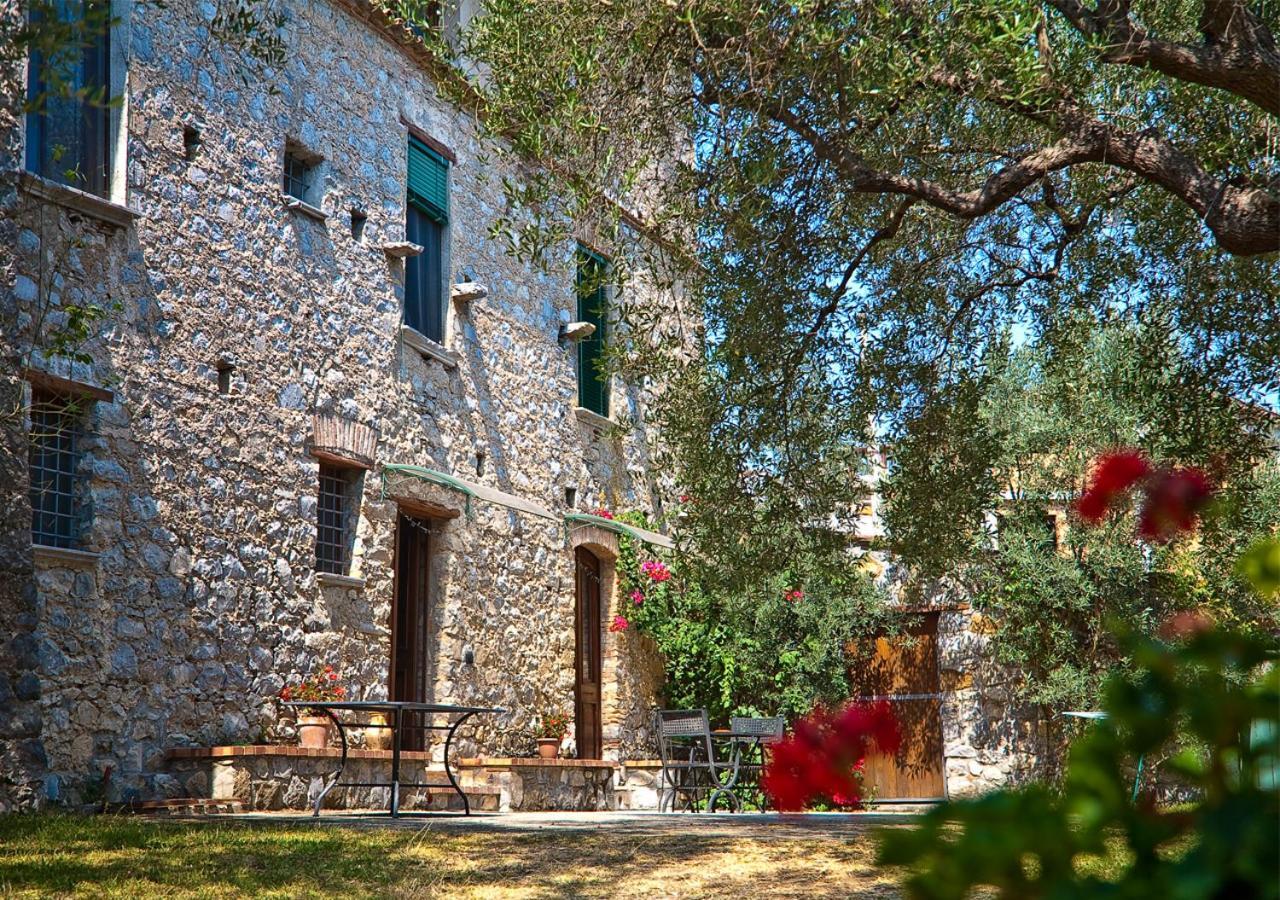 Affittacamere Pie' d'Ulivo Bosco  Esterno foto