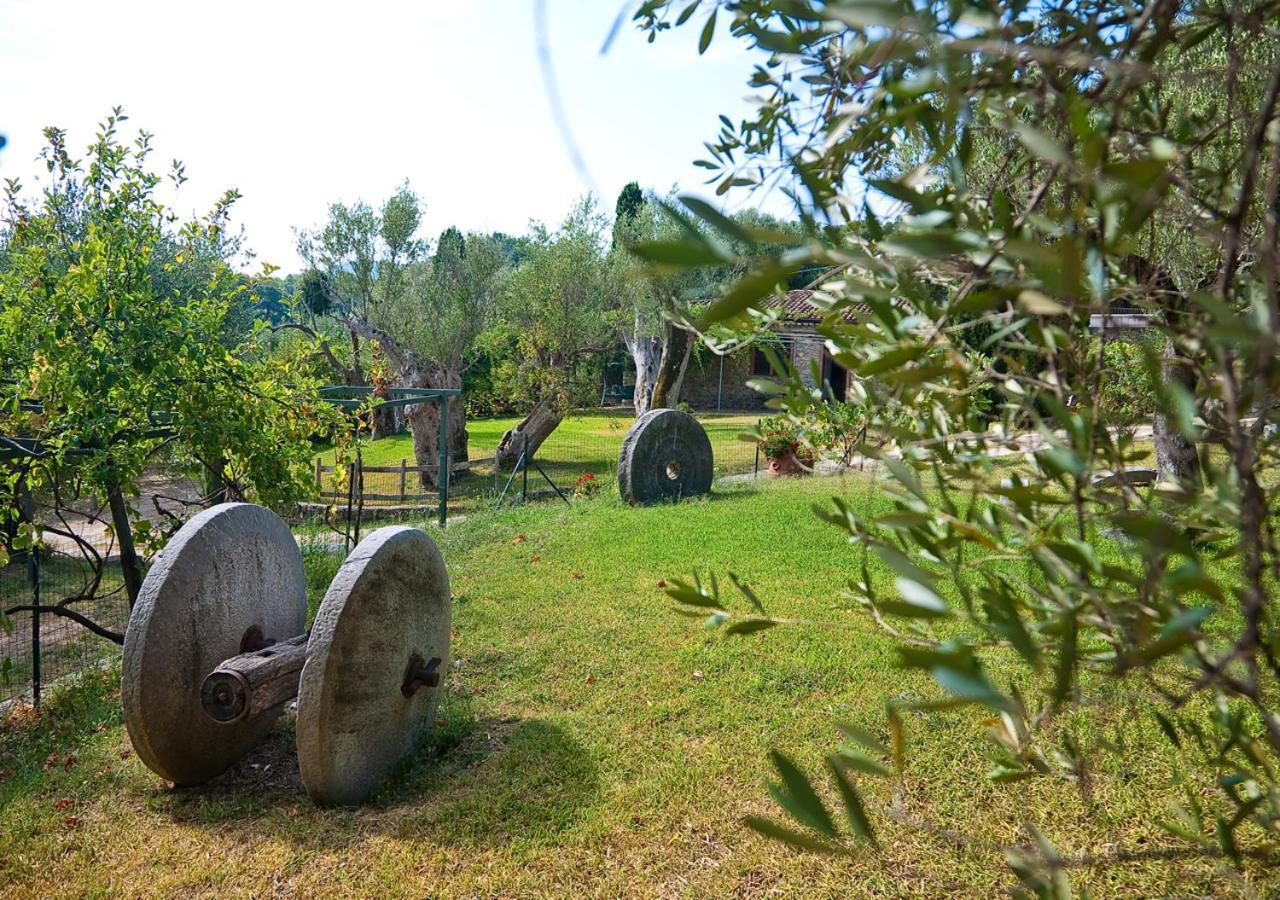 Affittacamere Pie' d'Ulivo Bosco  Esterno foto