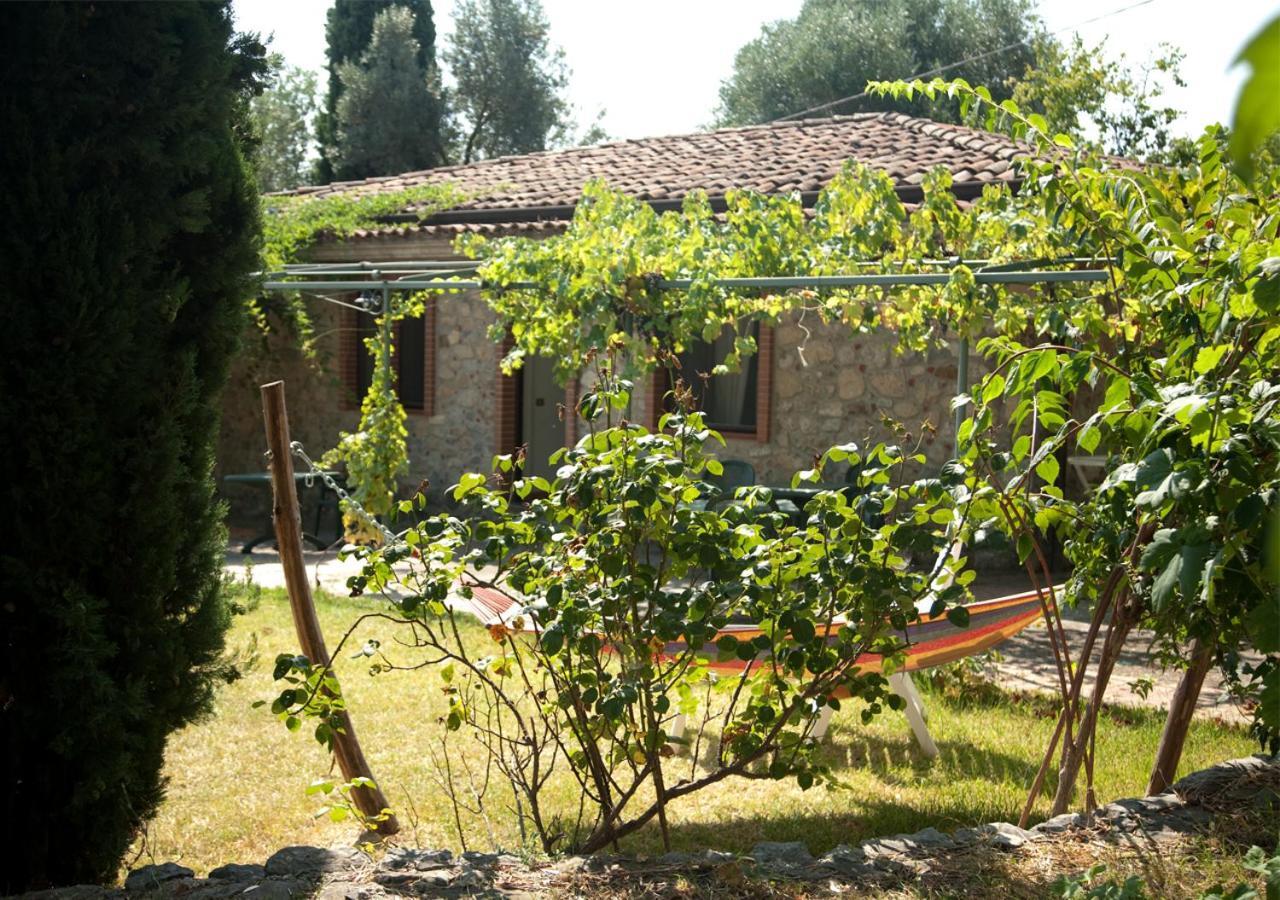 Affittacamere Pie' d'Ulivo Bosco  Esterno foto