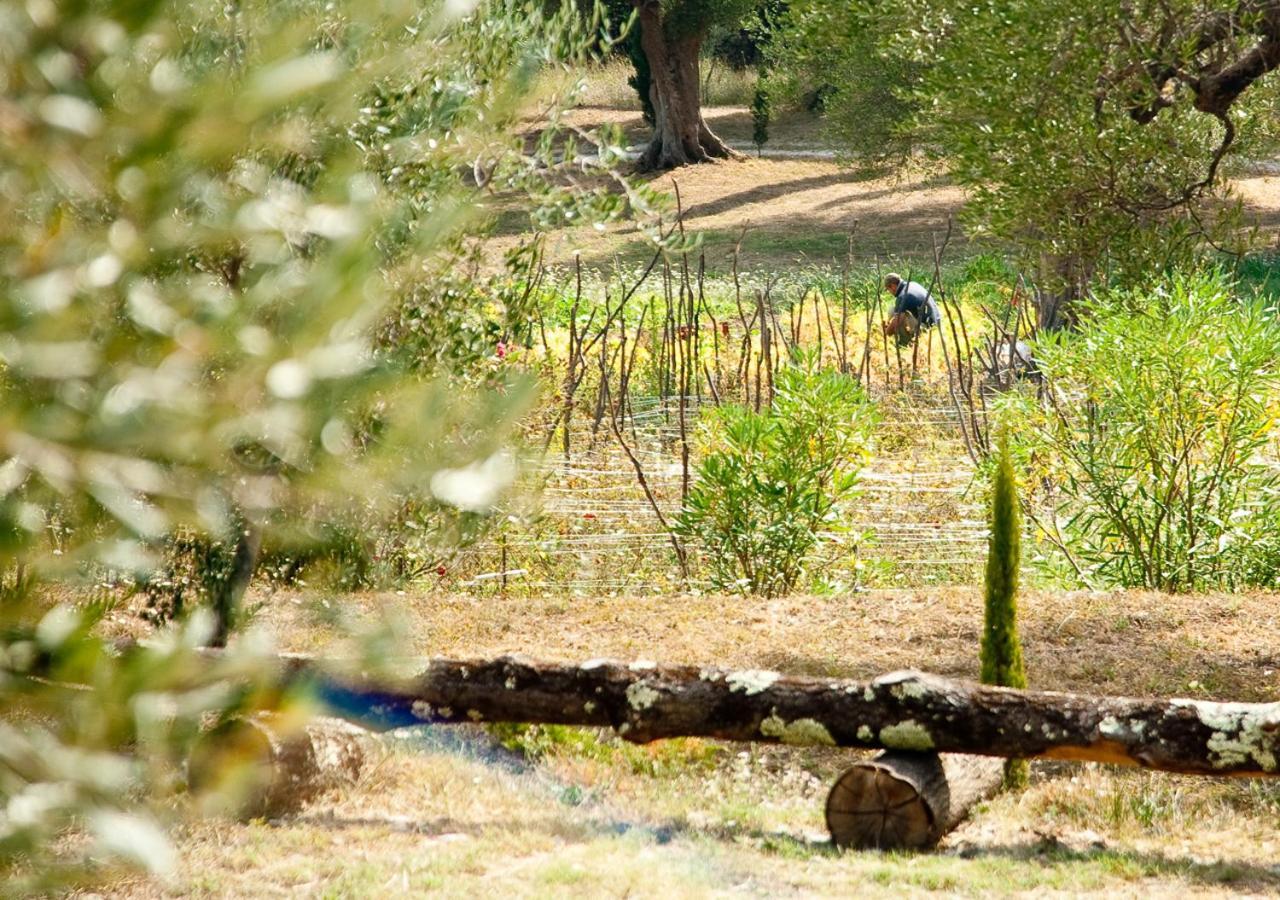 Affittacamere Pie' d'Ulivo Bosco  Esterno foto