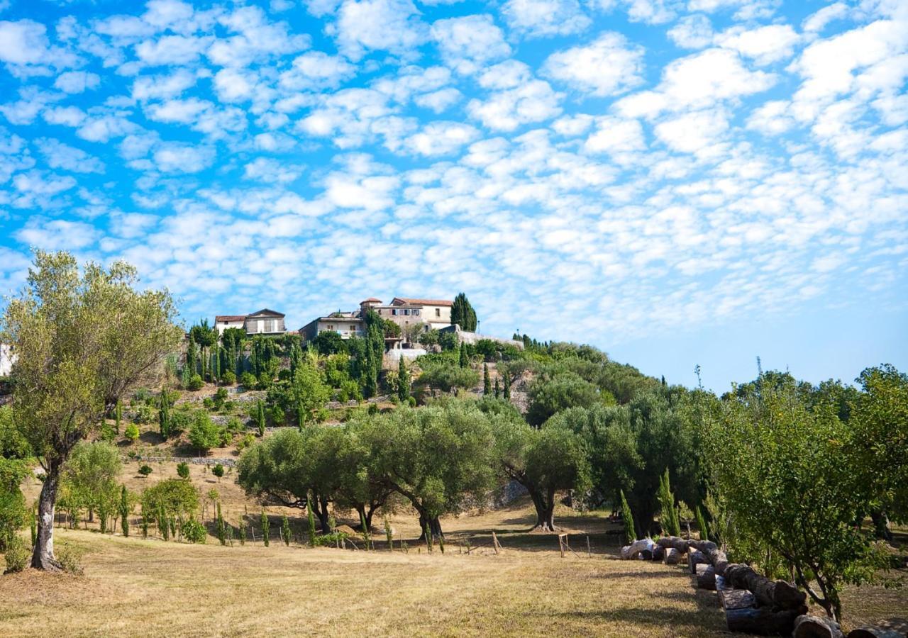 Affittacamere Pie' d'Ulivo Bosco  Esterno foto