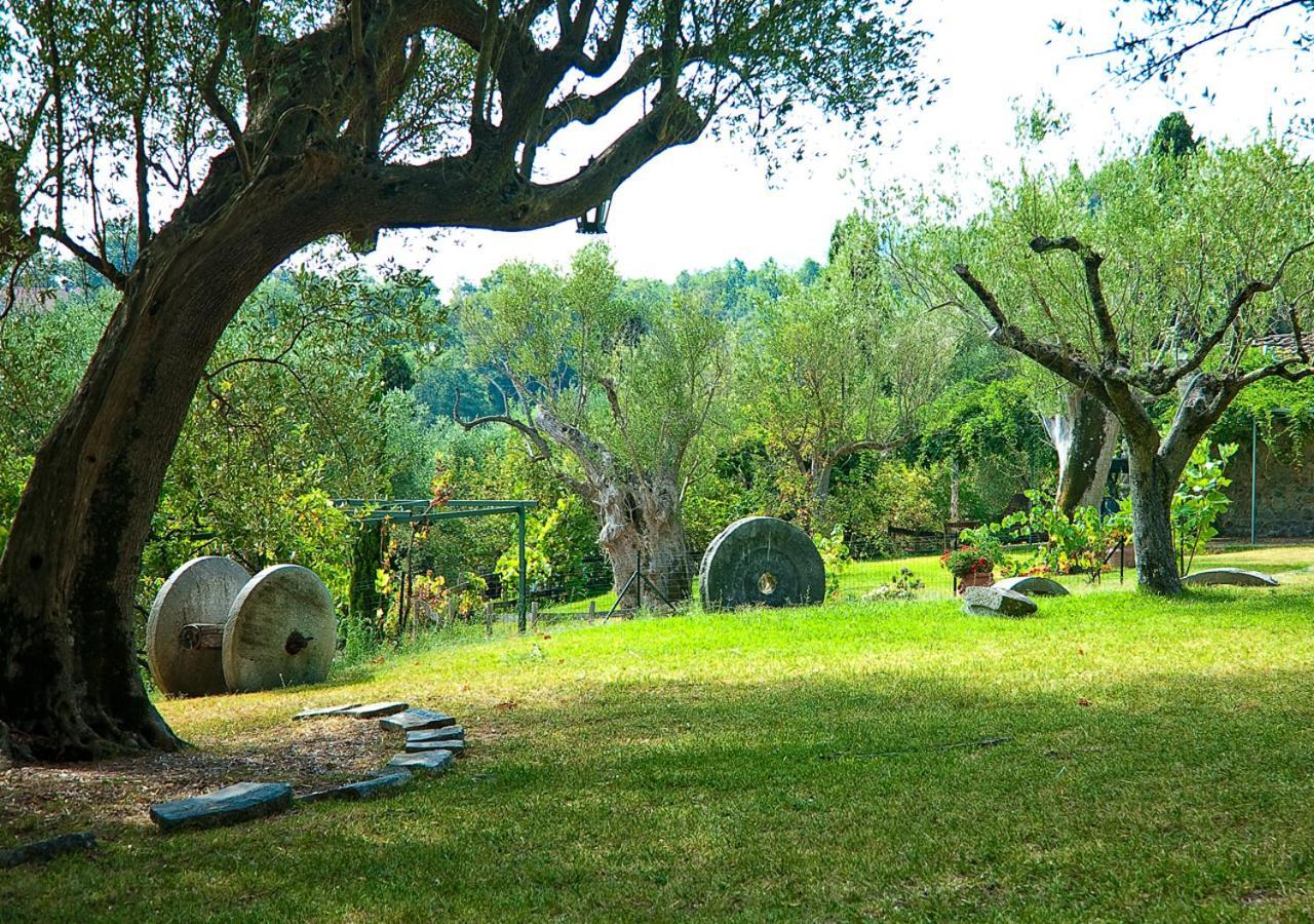 Affittacamere Pie' d'Ulivo Bosco  Esterno foto