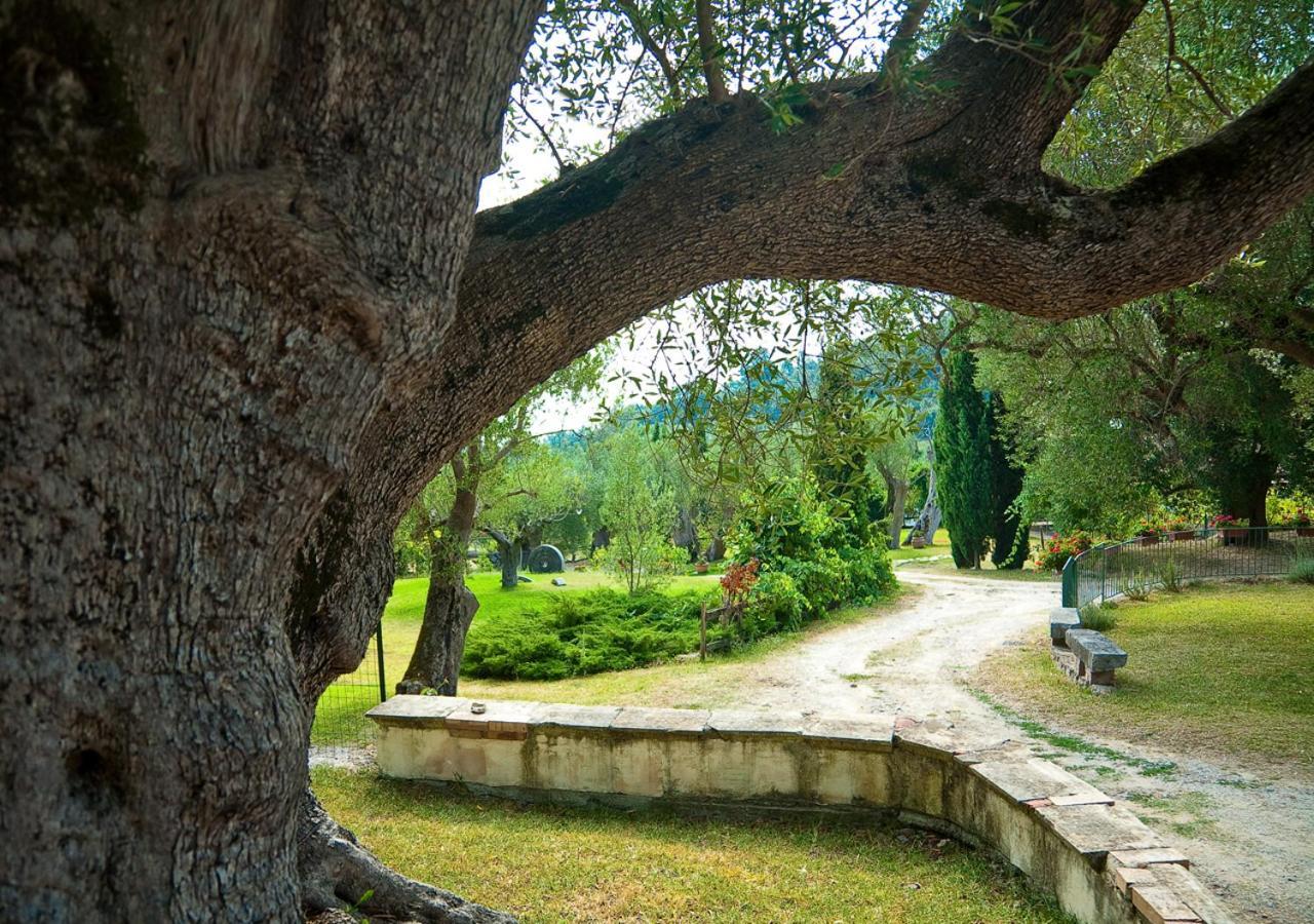 Affittacamere Pie' d'Ulivo Bosco  Esterno foto